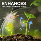 ⏳Limited-time 50% off⏰Plant Growth Enhancer Supplement🪴💦