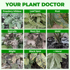 Pro Grade All-Purpose Liquid Fertilizer Concentrate