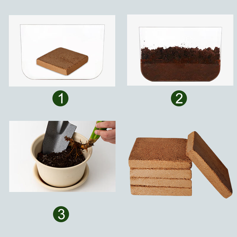⏳Limited-time 50% off⏰Organic Coconut Coir for Plants🌱