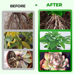 Pro Grade All-Purpose Liquid Fertilizer Concentrate