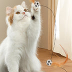 Interactive Cat Bouncy Ball with Feather