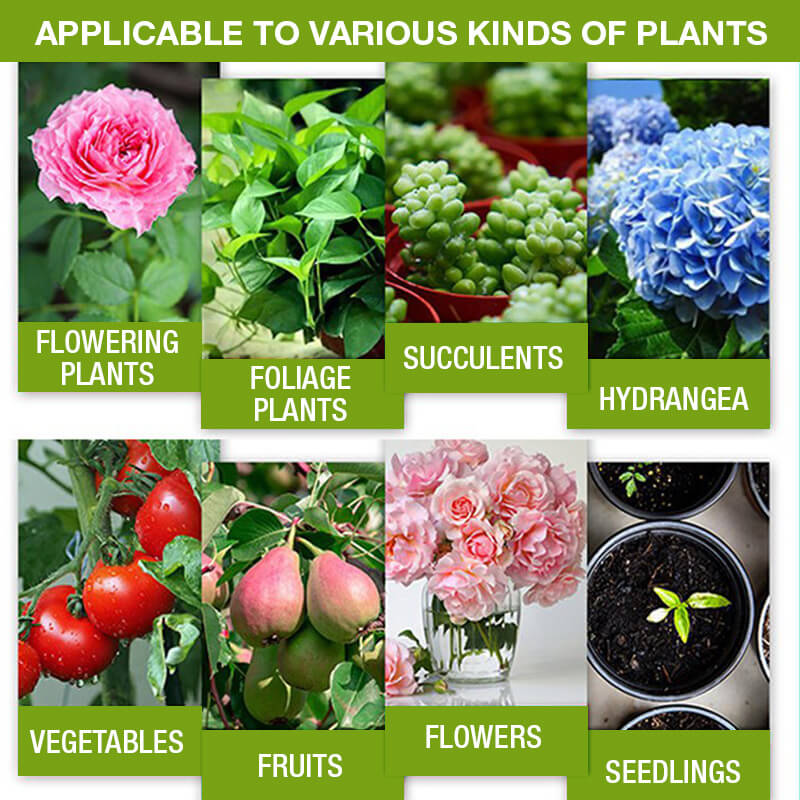 ⏳Limited-time 50% off⏰Plant Growth Enhancer Supplement🪴💦