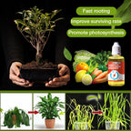 ⏳Limited-time 50% off⏰Plant Growth Enhancer Supplement🪴💦