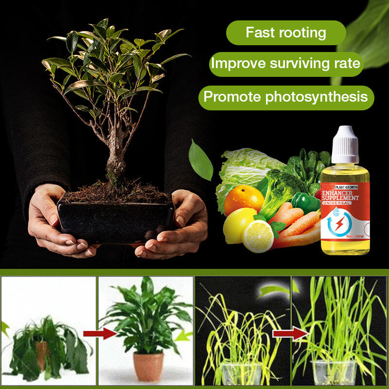 ⏳Limited-time 50% off⏰Plant Growth Enhancer Supplement🪴💦