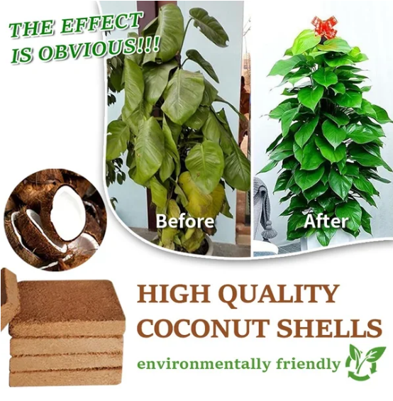 ⏳Limited-time 50% off⏰Organic Coconut Coir for Plants🌱