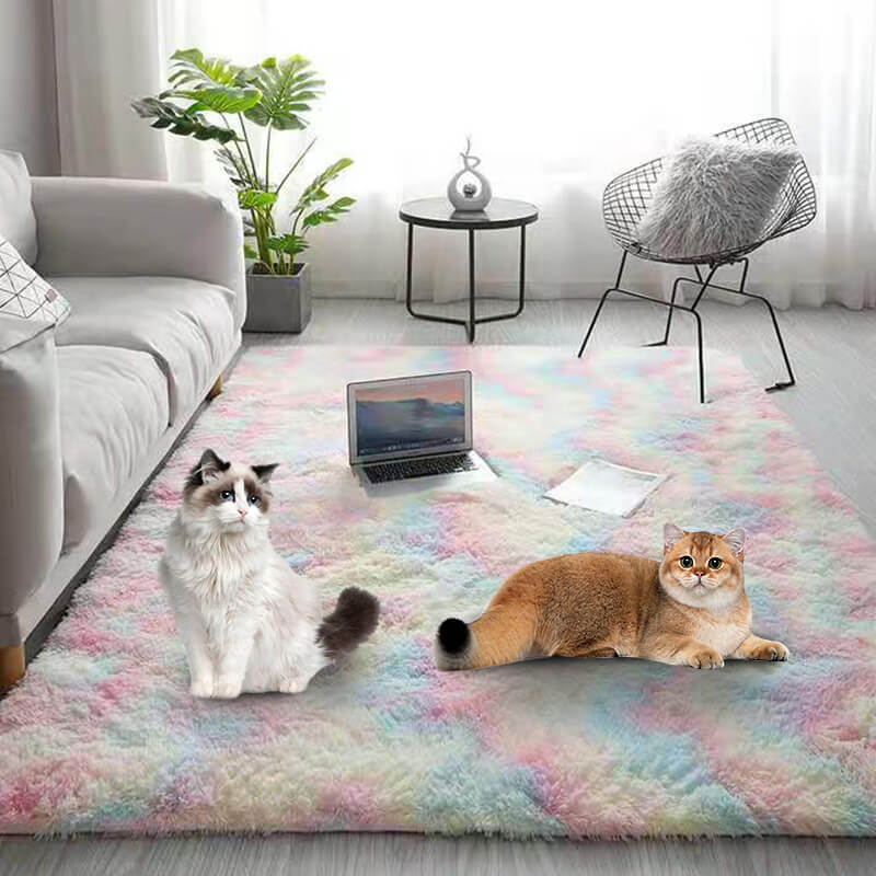 ⏳Limited-time 50% off⏰Gradient Color Plush Floor Mat🛋️