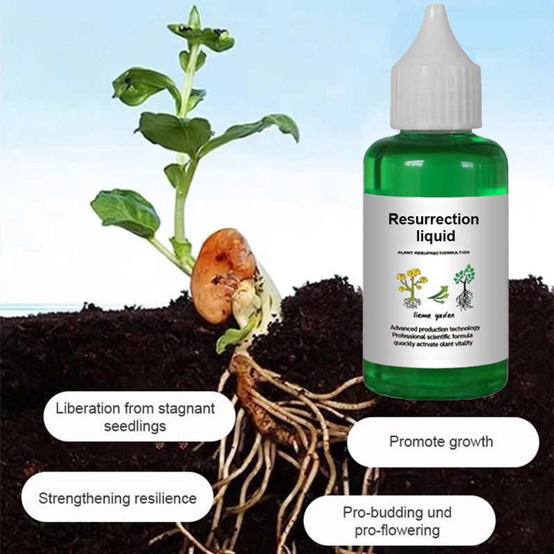 ⏳Limited-time 50% off⏰Plant & Flower Activation Liquid - Expert-Recommended Formula for Vibrant Growth & Blooming 🌸🌱