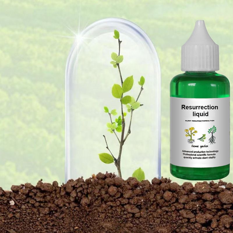 ⏳Limited-time 50% off⏰Plant & Flower Activation Liquid - Expert-Recommended Formula for Vibrant Growth & Blooming 🌸🌱