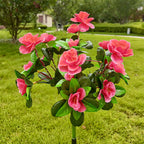 ⏳Limited-time 50% off⏰Simulation Azalea Flower Ground Stake Solar Light💐💡