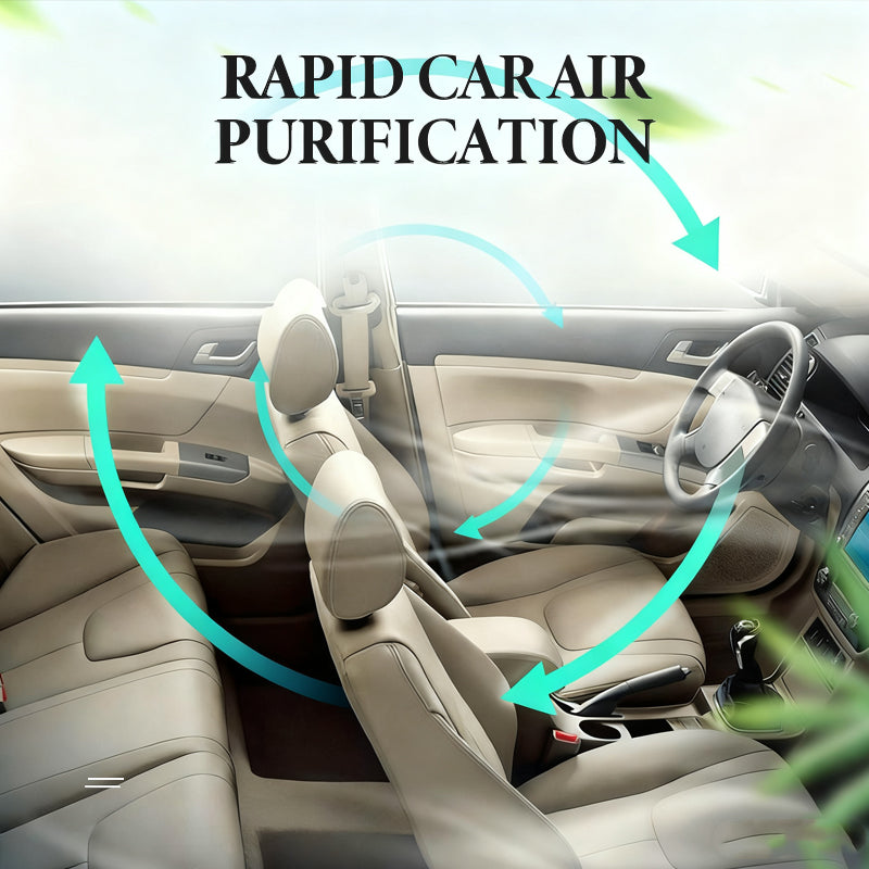 ⏳Limited-time 50% off⏰3-in-1 Deep Sanitizing Fogger🚗🍃
