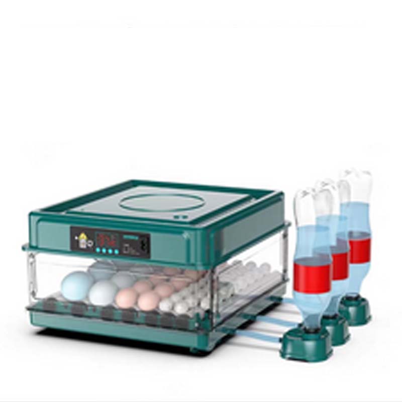 ⏳Limited-time 50% off⏰Automatic Incubator with Temperature Control🐣💧