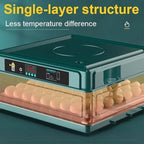 ⏳Limited-time 50% off⏰Automatic Incubator with Temperature Control🐣💧