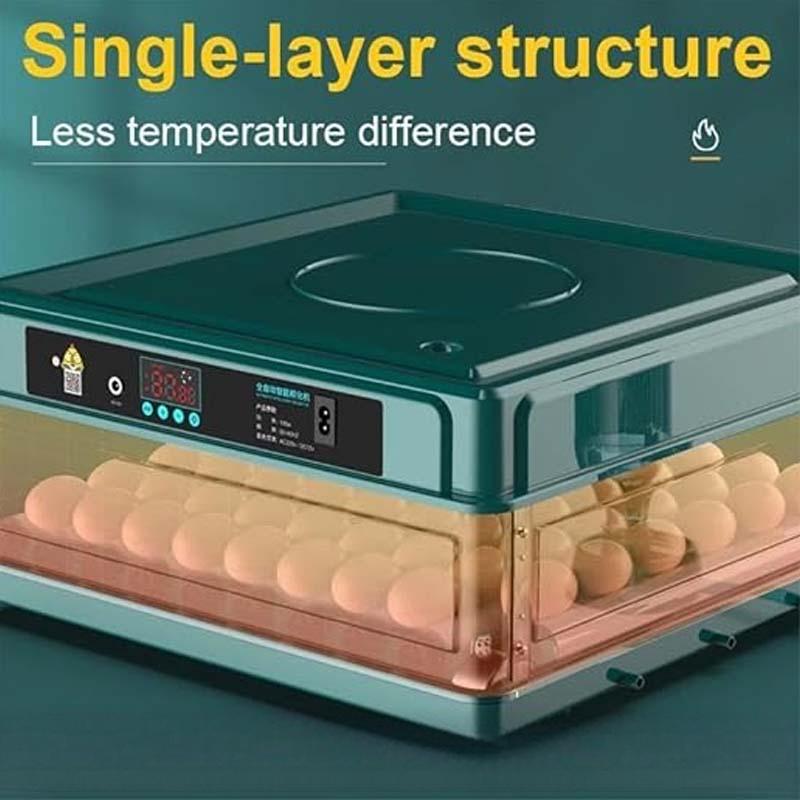 ⏳Limited-time 50% off⏰Automatic Incubator with Temperature Control🐣💧