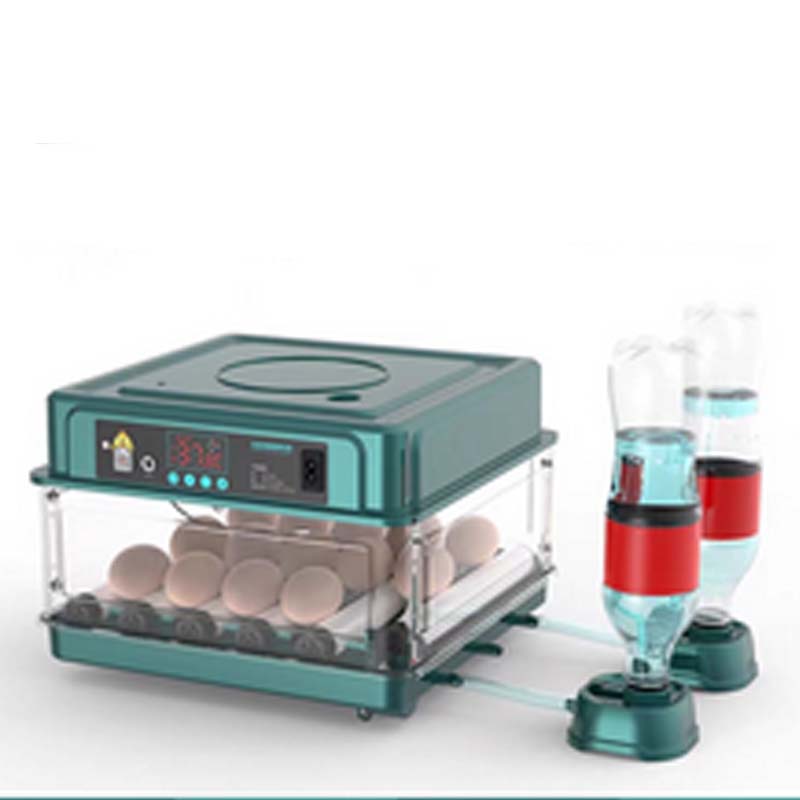 ⏳Limited-time 50% off⏰Automatic Incubator with Temperature Control🐣💧