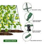 ⏳Limited-time 50% off⏰A-Frame Garden Trellis for Climbing Plants🍇🥒